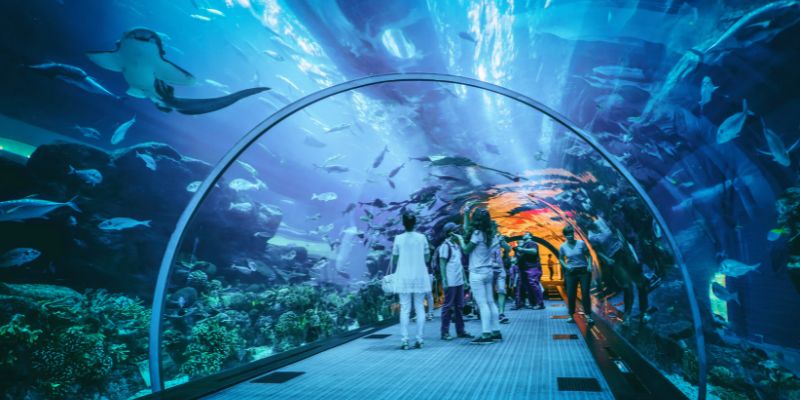 Aquaria KLCC